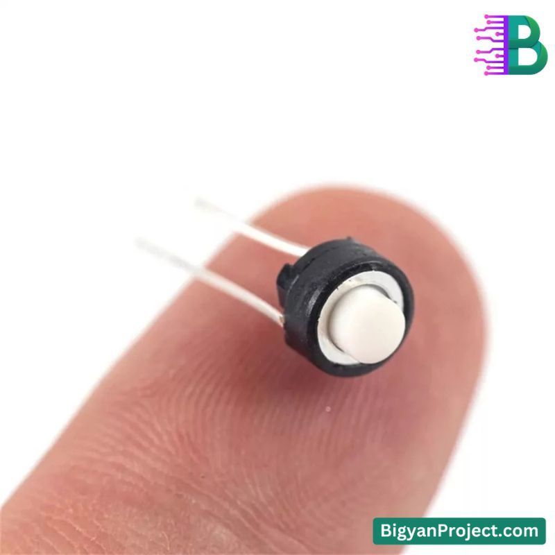 2-Pin Momentary Push Button Tactile Switch for Projects
