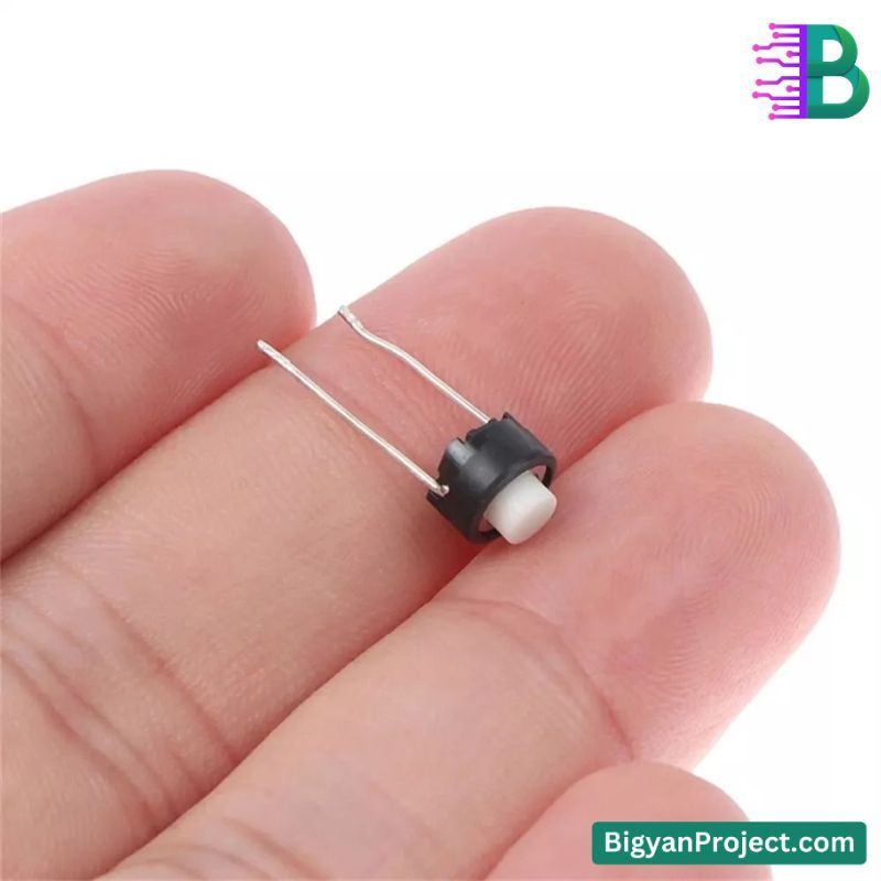 2-Pin Momentary Push Button Tactile Switch for Projects