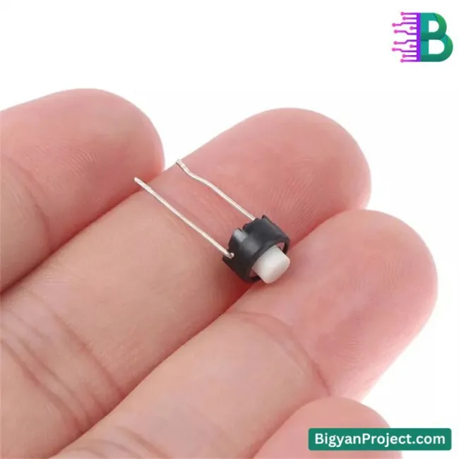 ২-পিন মোমেন্টারি পুশ বাটন ট্যাকটাইল সুইচ প্রোজেক্টের জন্য