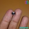 2-Pin Momentary Push Button Tactile Switch for Projects
