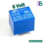 Buy 5V 10A 5-Pin Relay for High-Current Applications in Bangladesh