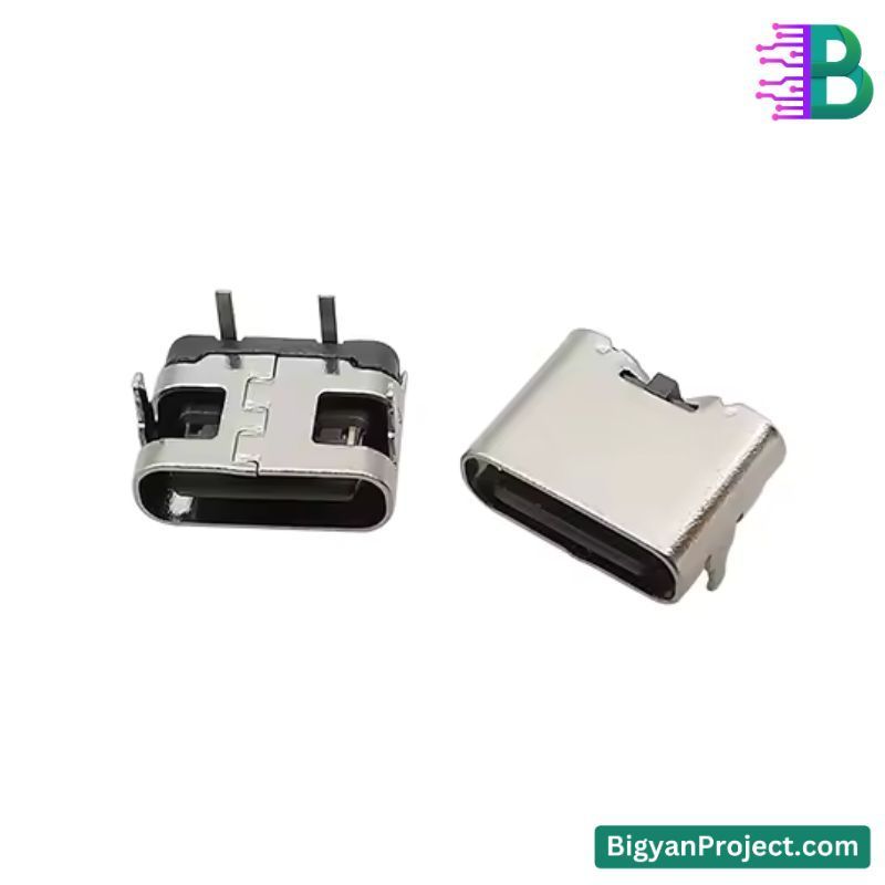 2 Pin USB Type-C Charging Port Connector