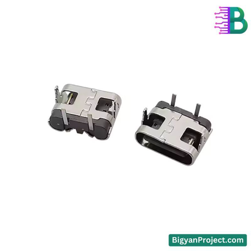 2 Pin USB Type-C Charging Port Connector