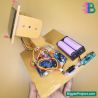 Solar Tracker with Arduino | Buy Science Project Kit