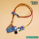 Buy Vibration Detection Alarm Science Project Kit