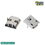 মাইক্রো USB ২-পিন ফিমেল কানেক্টর | পাওয়ার জ্যাক কিনুন