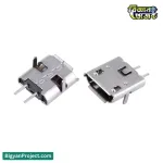 মাইক্রো USB ২-পিন ফিমেল কানেক্টর | পাওয়ার জ্যাক কিনুন