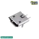 মাইক্রো USB ২-পিন ফিমেল কানেক্টর | পাওয়ার জ্যাক কিনুন