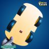 Buy 4-Wheel Robot Car Science Project for Kids