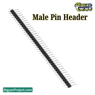 Buy 40 Pin 2.54mm Male Breakaway Header Strip | Bigyan Project