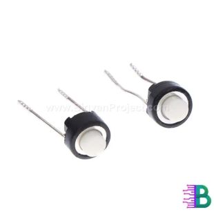 2-Pin Momentary Push Button Tactile Switch for Projects