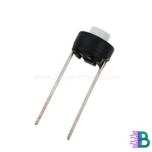 2-Pin Momentary Push Button Tactile Switch for Projects