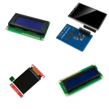 Display Module